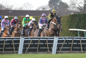 FV1E2783 Wolf Walker