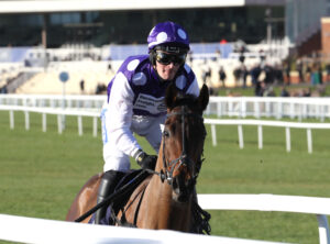 FV1E4096 Square D’Alboni