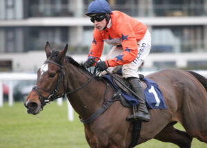 FV1E4419 Panic Attack