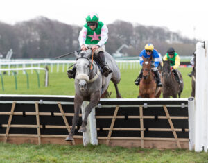 Judicial Deference 4