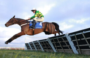 X5B0569 Iberico Lord