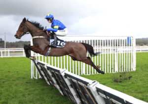 X5B0790 Winston Junior