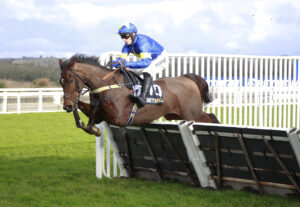 X5B0819 Winston Junior