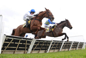 X5B1629 Maestro Conti