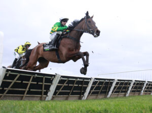 X5B2111 The New Lion