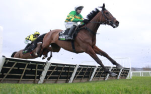 X5B2112 The New Lion