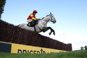 X5B6879 The Kalooki Kid