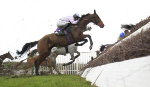 16B2055 Knockanore