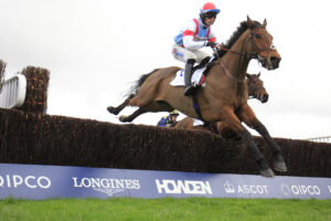 16B8608 Brave Kingdom