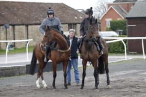 20J0174 Golden Ace [right]