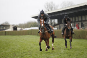 20J0192 Golden Ace [behind]