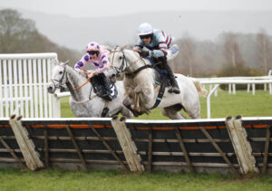 20J0262 Tankardstown Diva