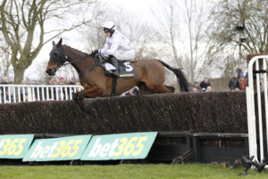 20J0446 Saint Davy