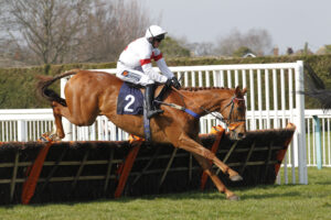 20J6754 El Rojo Grande