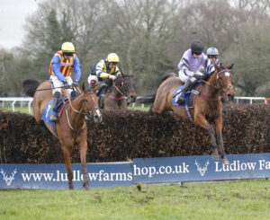 20J7883 Icare Colombe [left]