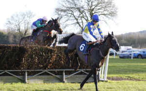 20J8243 Rodney   Toothless