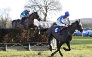 20J8244 Rodney   Toothless