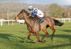 20J8339 Windsor Blue