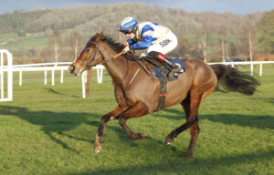 20J8340 Windsor Blue