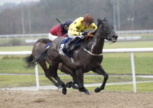 20J8370 Mr Dreamseller