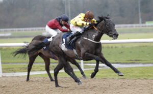 20J8371 Mr Dreamseller