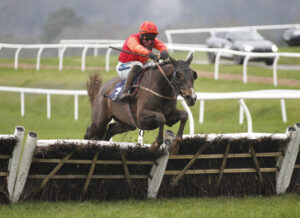 20J8597 Inion Tiogair