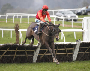 20J8598 Inion Tiogair