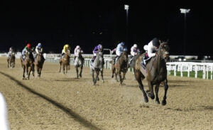 20J9478 Constitution Hill