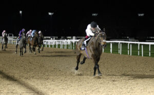 20J9484 Constitution Hill