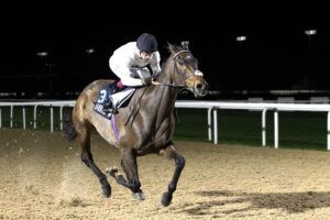 20J9490 Constitution Hill