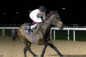 20J9491 Constitution Hill