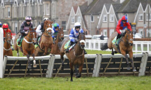 78F1806 Wise Eagle [right]