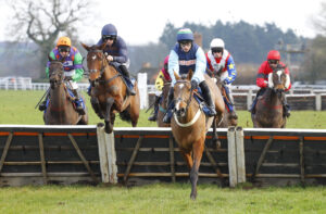 78F2051 Diamond Du Berlais