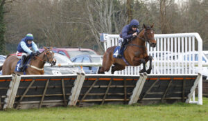 78F2092 Diamond Du Berlais