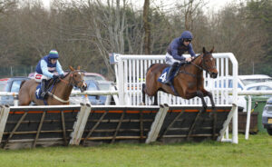 78F2093 Diamond Du Berlais