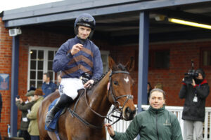 78F2131 Diamond Du Berlais