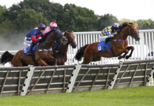 78F3110 Robber’s Bridge