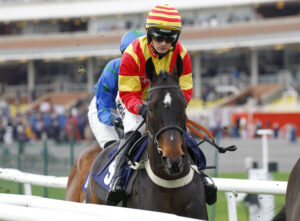 78F6632 Storming George