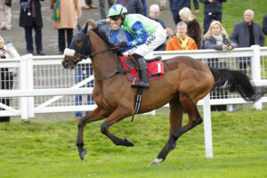 78F7039 Constellation Walk