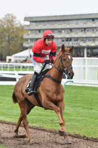 DSC 0011 Double Measure