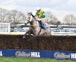 DSC 0215 Grand Geste