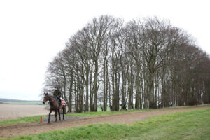 EN4D5475 Constitution Hill