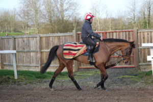 EN4D5676 The Jukebox Man