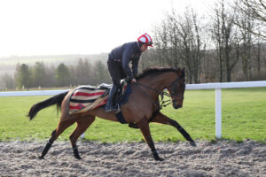 EN4D5679 The Jukebox Man
