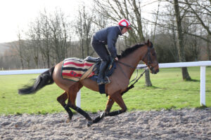 EN4D5681 The Jukebox Man