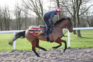 EN4D5682 The Jukebox Man
