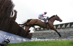 EN4D8657 Brave Kingdom