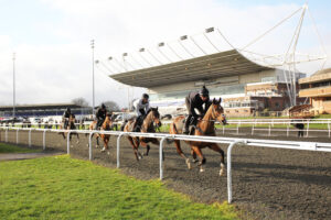 EN4D9584 Harry Derham string