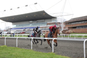 EN4D9609 No Drama Ahead