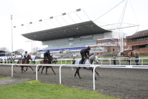 EN4D9651 Nicky Henderson horses